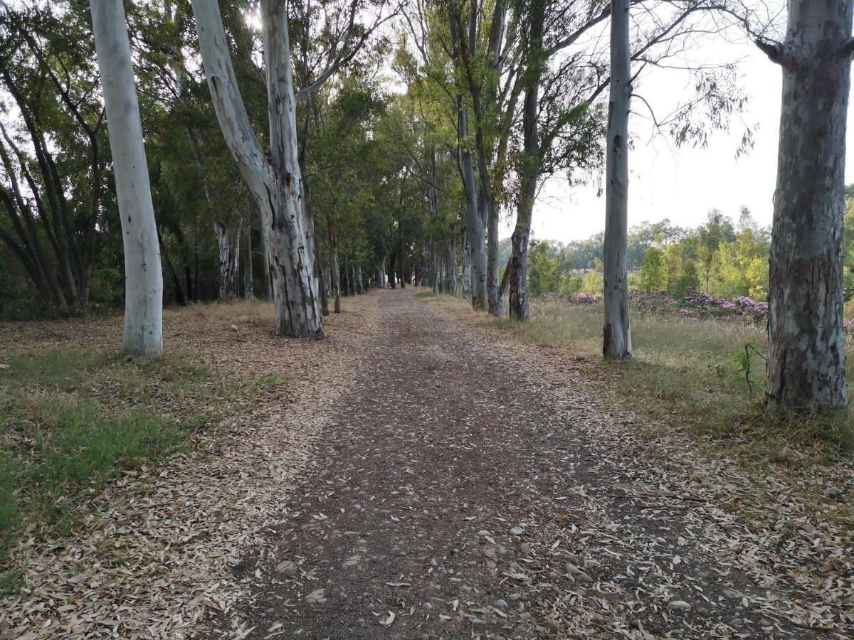 1Ere Soleil Levant Sagunto Zewnętrze zdjęcie